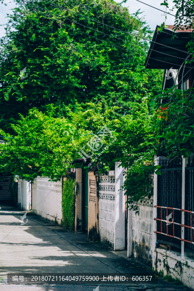 清邁街道