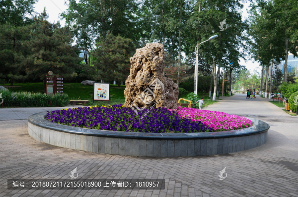 花壇