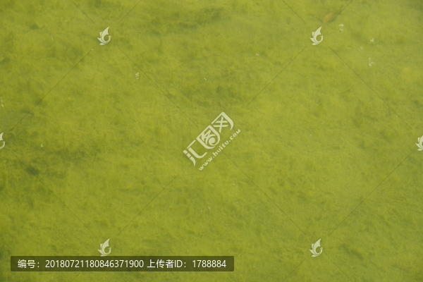 清澈的湖水