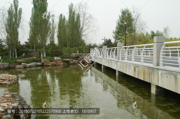 大同濕地
