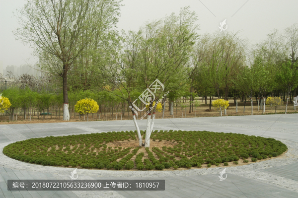 大同南環(huán)橋