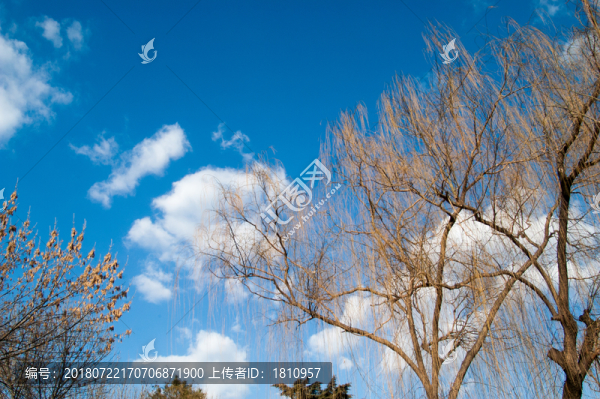 陶然亭公園