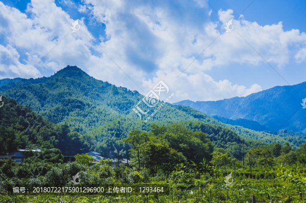 夏日山嶺風(fēng)光