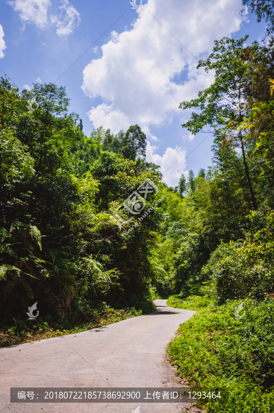 山林小路