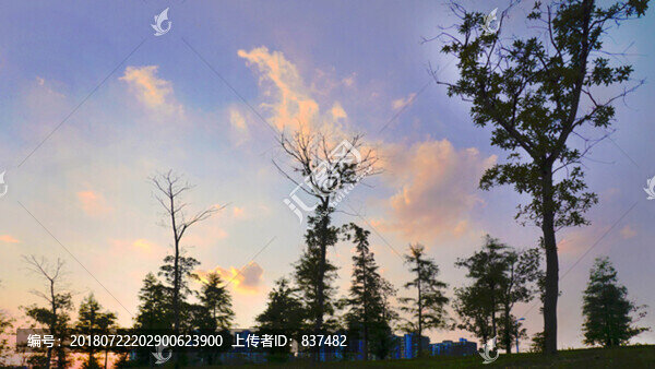 夕陽(yáng)無(wú)限好