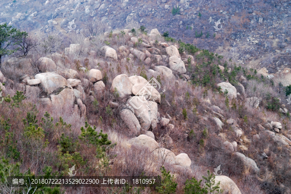 天津盤山