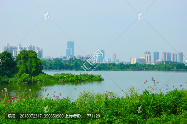 廣州海珠湖