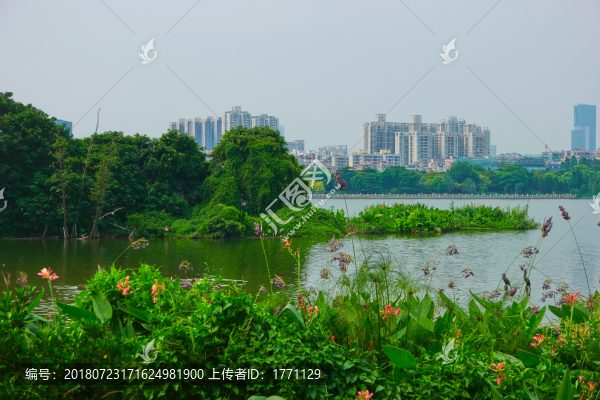 濕地公園