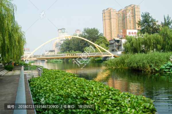 拱橋