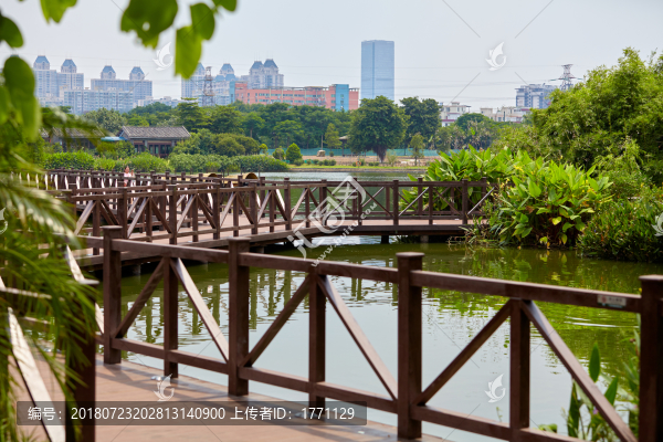 公園九曲橋