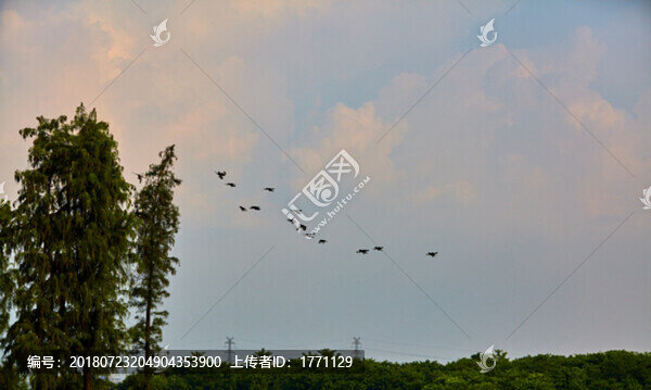 天空飛鳥
