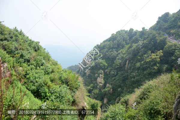 綠樹青山