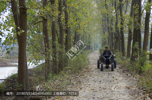 村莊土路