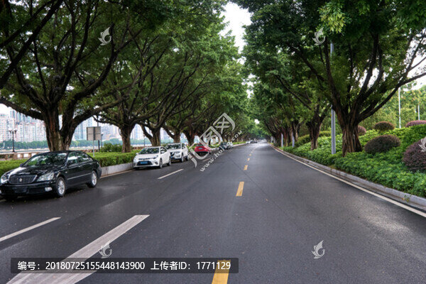 馬路