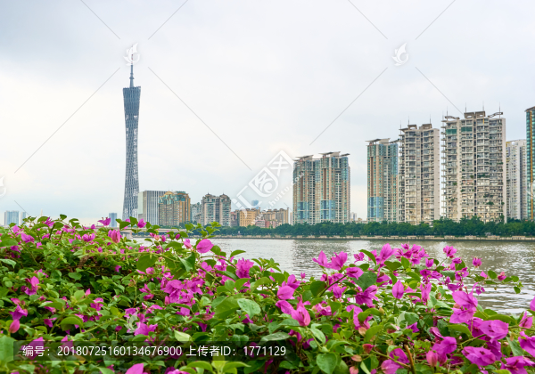 二沙島美景