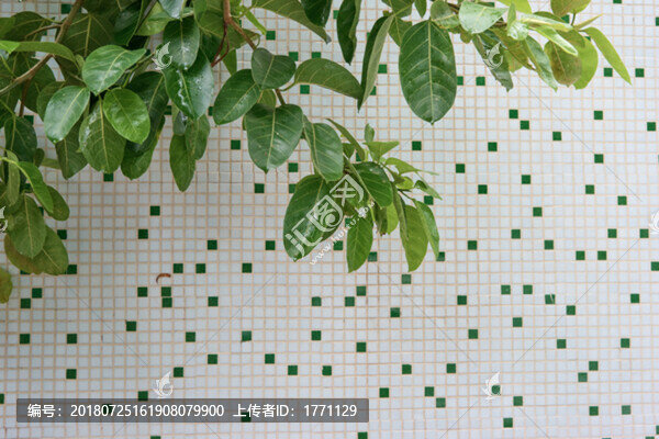 馬賽克綠植
