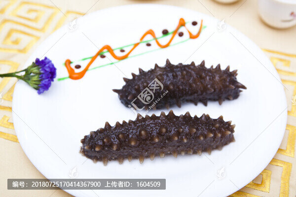 泡發(fā)的海參