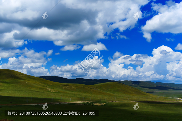 甘南草原風(fēng)光