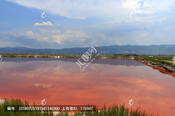 鹽池紅了