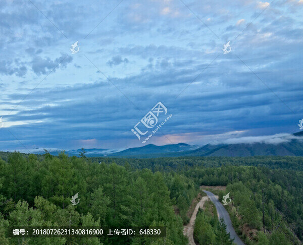 森林風(fēng)光