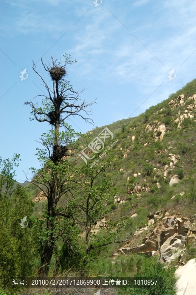 高山