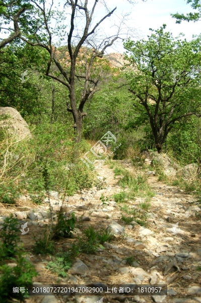 高山