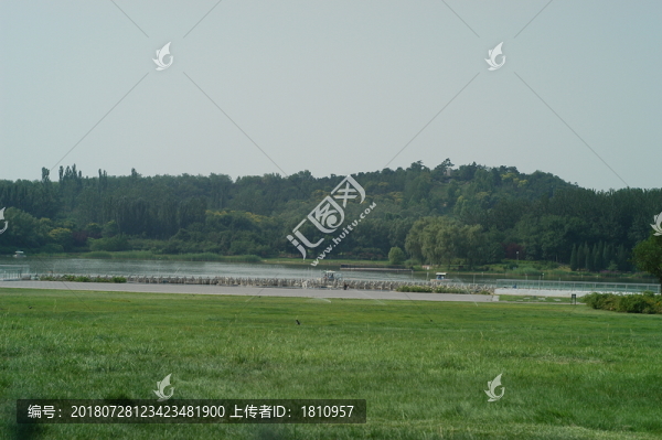 草地