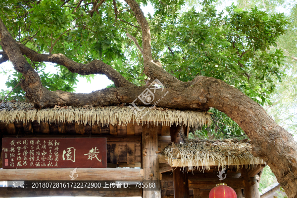 1916文創(chuàng)園