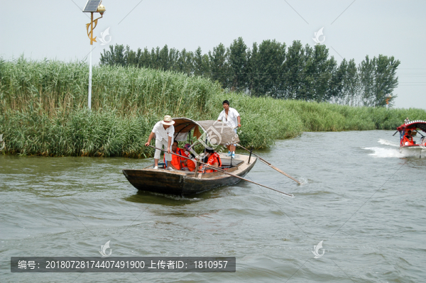 白洋淀