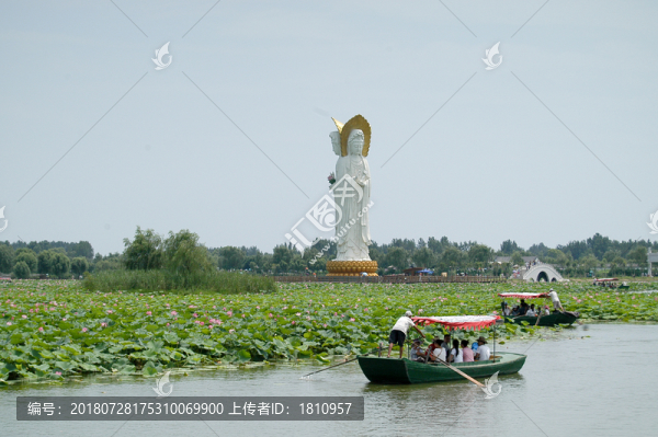 荷花大觀園
