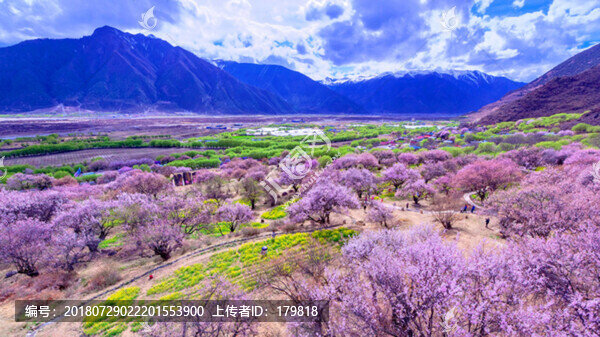 嘎拉桃花村