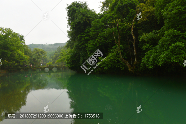 荔波小七孔風景