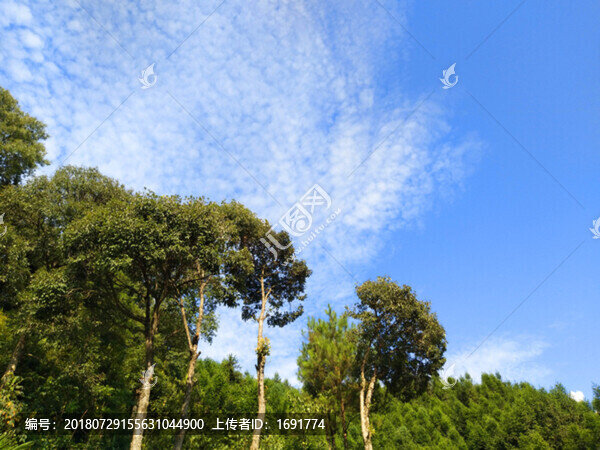 藍天