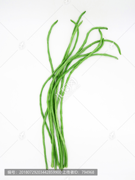 長豇豆