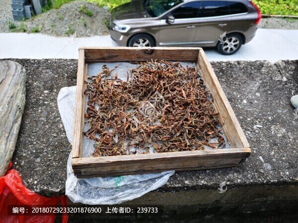 菜苔干