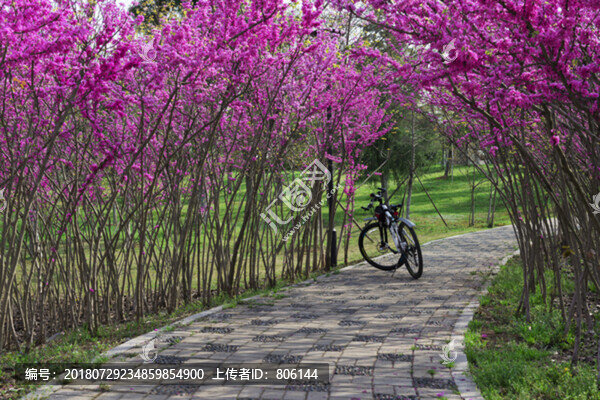 公園一角