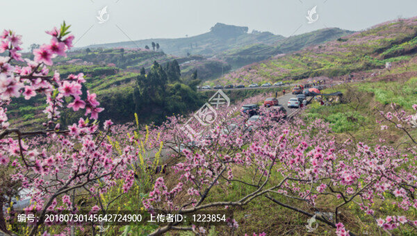 桃花山