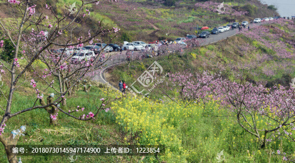 桃花山