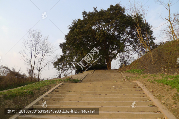 碼頭梯步