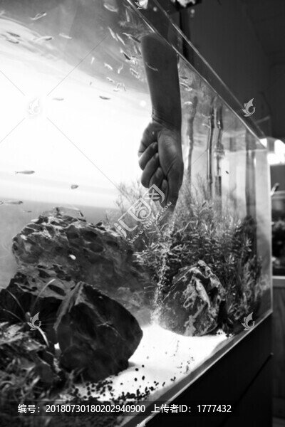 魚缸水景布置
