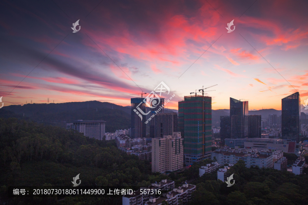 上梅林之晨