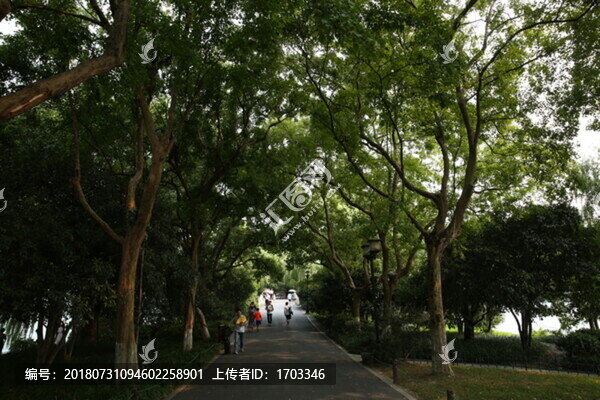 蘇堤漫步