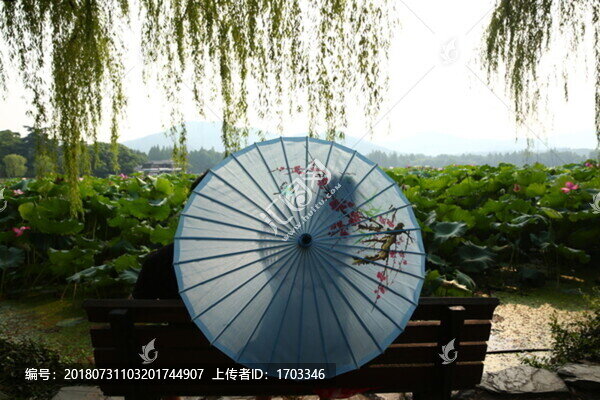 曲院風(fēng)荷