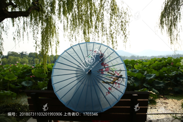 曲院風(fēng)荷