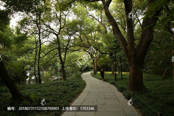 林蔭小路