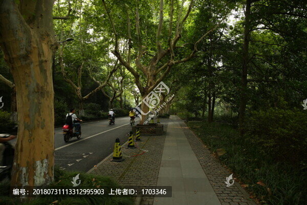 蘇堤漫步