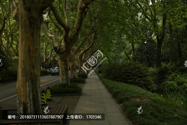 蘇堤漫步