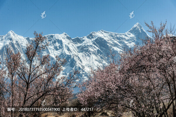 南迦巴瓦峰