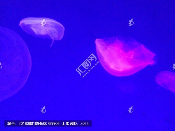 海洋世界