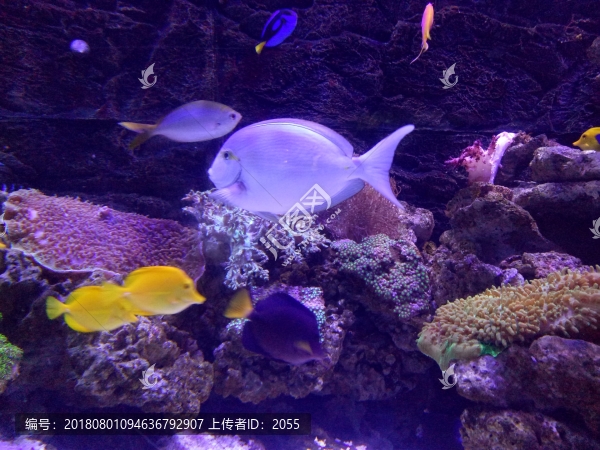 海洋世界